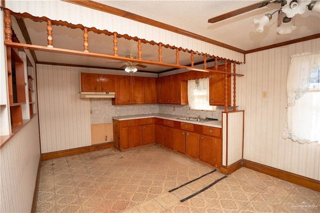 kitchen with ceiling fan, crown molding, and sink