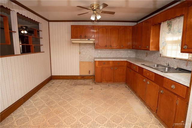 kitchen featuring ceiling fan, crown molding, and sink