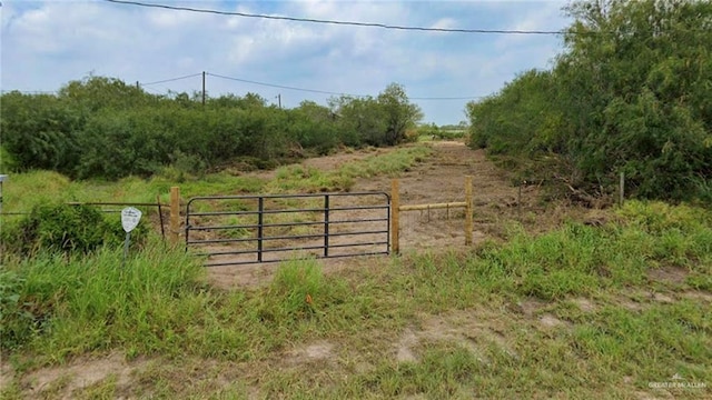 Listing photo 2 for LOT0 Texan Rd, Mission TX 78574