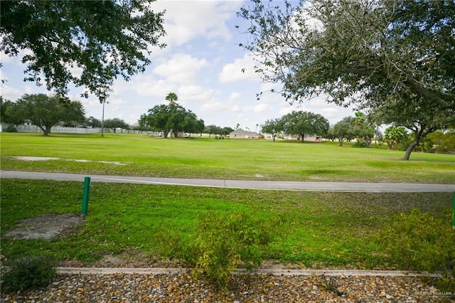 view of property's community with a yard