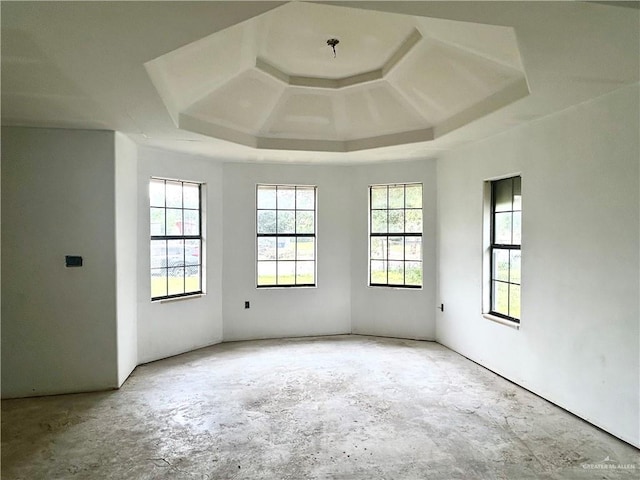 unfurnished room featuring a raised ceiling