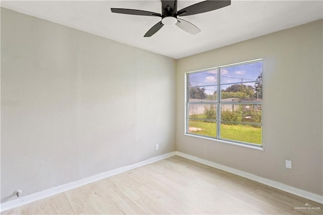 1125 W Schunior St, Edinburg, TX 78541 - spare room featuring light wood-type flooring and ceiling fan