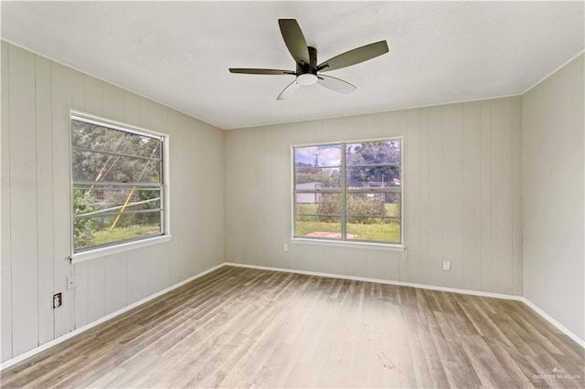 1125 W Schunior St, Edinburg, TX 78541 - spare room with wood finished floors and a ceiling fan