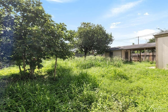 811 N 16th St, Mcallen, TX 78501 - photo 21