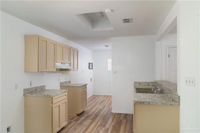 420 N Beto Garcia Dr, Weslaco, TX 78596 - kitchen featuring a sink, under cabinet range hood, light wood-style flooring, light countertops, and light brown cabinets