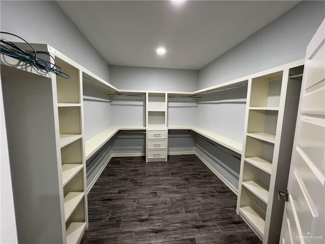 walk in closet featuring dark hardwood / wood-style flooring