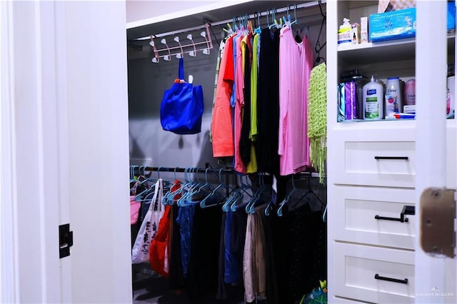 506 Oak Ridge St, Donna, TX 78537 - view of closet