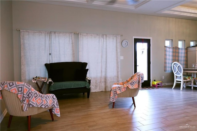 506 Oak Ridge St, Donna, TX 78537 - sitting room with a raised ceiling and wood finished floors