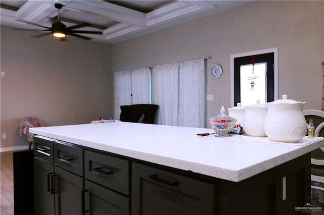 506 Oak Ridge St, Donna, TX 78537 - kitchen with baseboards, ceiling fan, a kitchen island, beam ceiling, and coffered ceiling