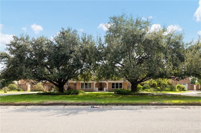 view of front facade with a front yard