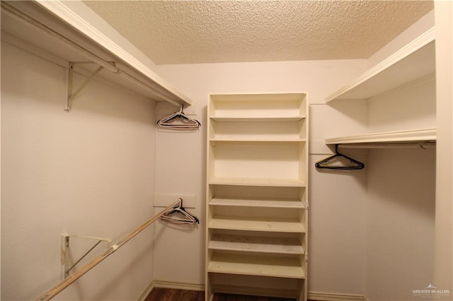 spacious closet with hardwood / wood-style flooring