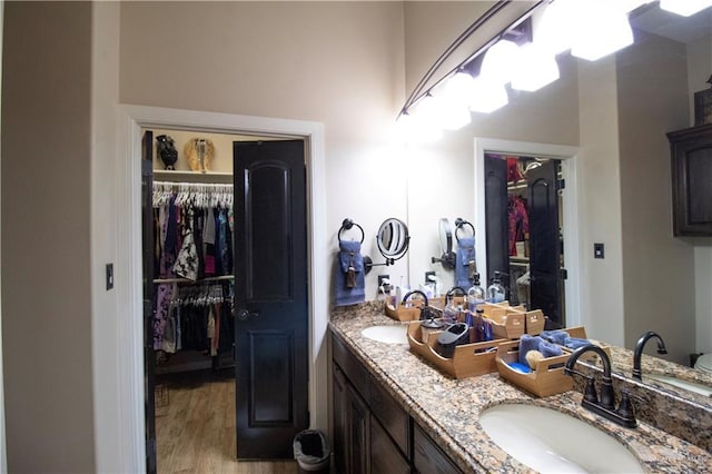 14616 Kurth Cv, Mcallen, TX 78504 - bathroom featuring wood finished floors, double vanity, and a walk in closet