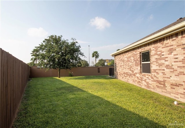 14616 Kurth Cv, Mcallen, TX 78504 - view of yard