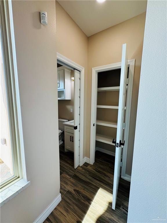 hall featuring dark hardwood / wood-style floors