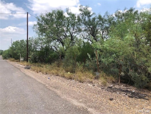0000 Ebony Ave, Roma, TX 78584 - photo 4