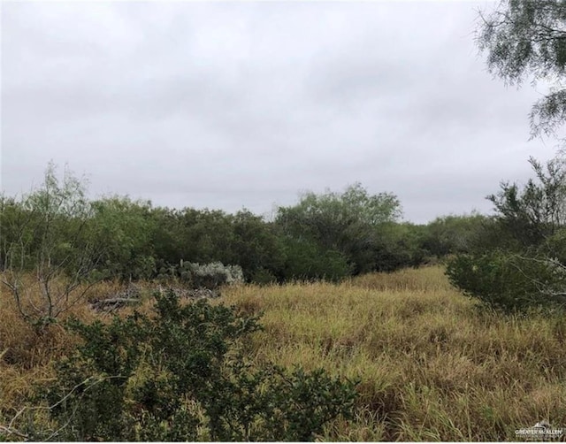 0000 Ebony Ave, Roma, TX 78584 - photo 3