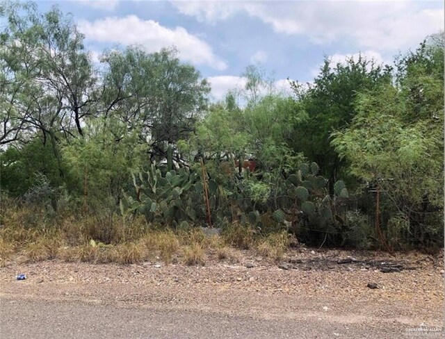 0000 Ebony Ave, Roma, TX 78584 - photo 1