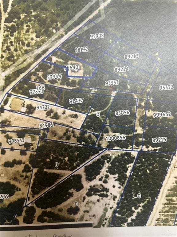0000 Ebony Ave, Roma, TX 78584 - photo 5