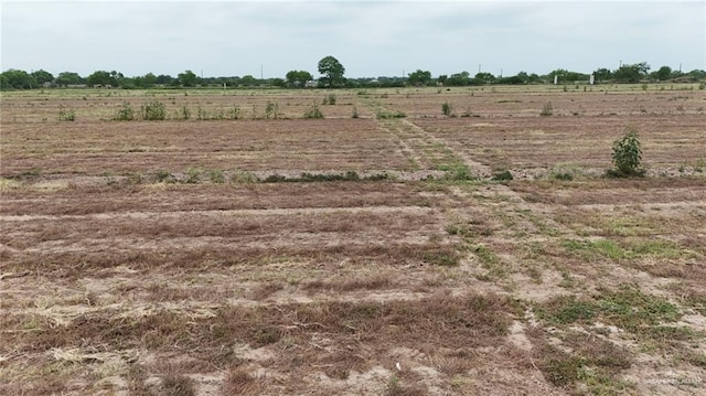 LOT12 Monte Cristo Heights Rd, Edinburg, TX 78541