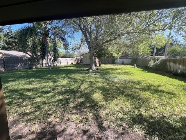 view of yard with a storage unit