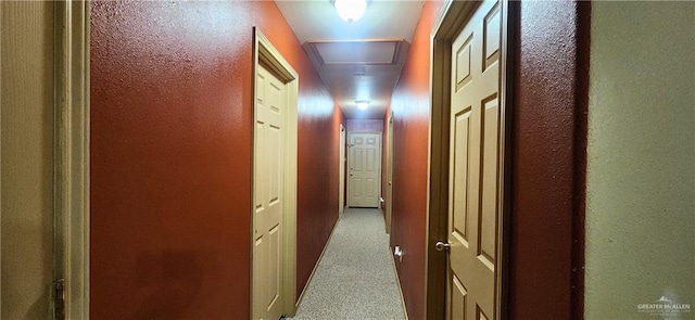 117 N Jo Beth St, Alton, TX 78573 - hallway with carpet flooring