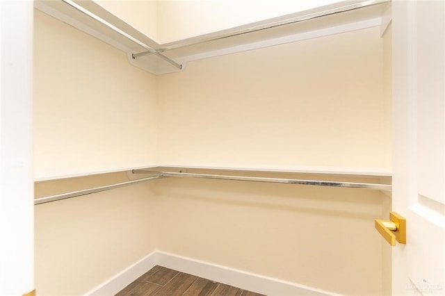 spacious closet featuring dark wood-type flooring