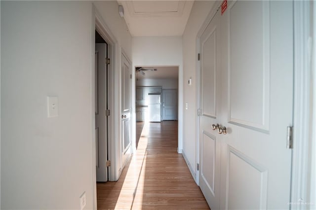 hallway featuring light wood-type flooring