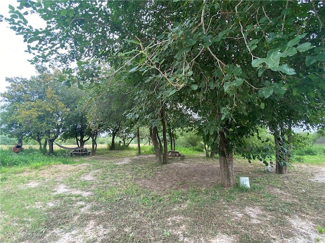 11732 Rogers Rd, Edinburg, TX 78542 - view of nature