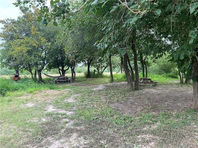 11732 Rogers Rd, Edinburg, TX 78542 - view of local wilderness