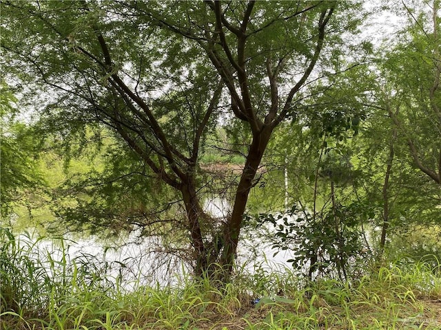 11732 Rogers Rd, Edinburg, TX 78542 - water view featuring a heavily wooded area