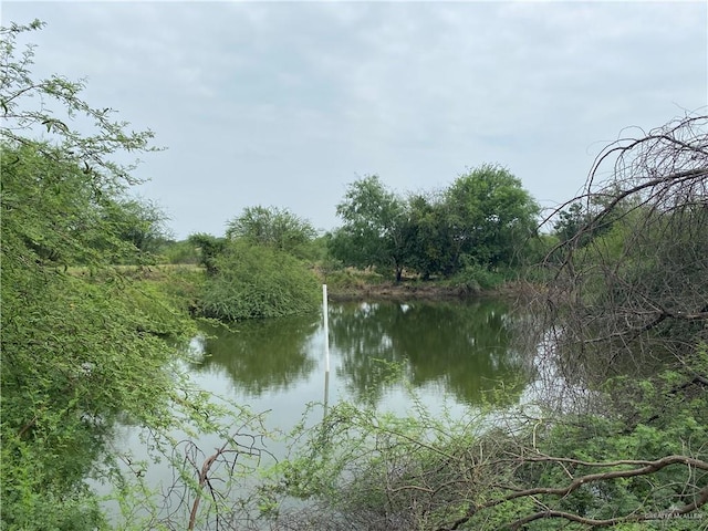 11732 Rogers Rd, Edinburg, TX 78542 - water view