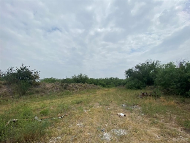 11732 Rogers Rd, Edinburg, TX 78542 - view of local wilderness