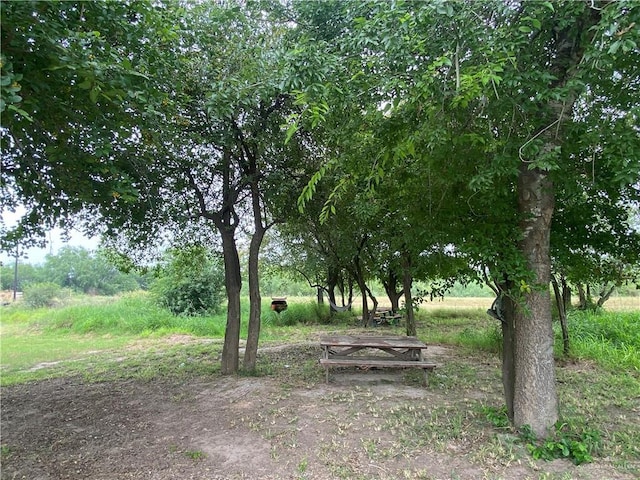11732 Rogers Rd, Edinburg, TX 78542 - view of yard