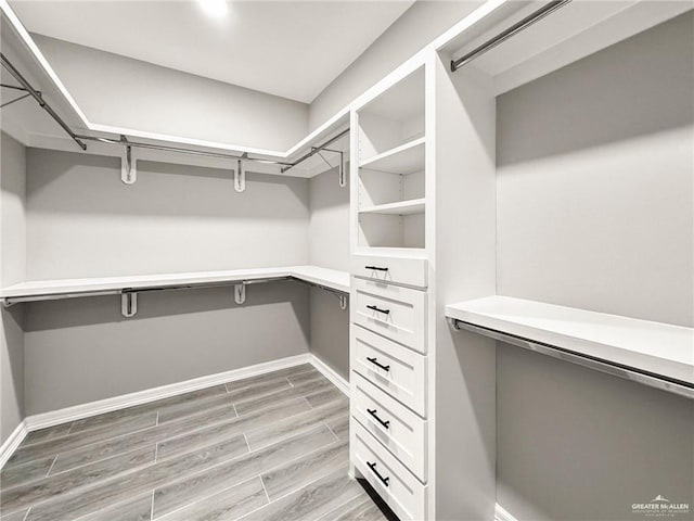 view of walk in closet