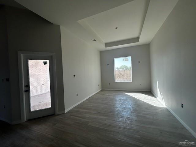 spare room with baseboards, a raised ceiling, and wood finished floors