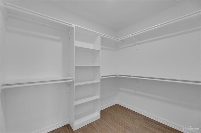 spacious closet featuring hardwood / wood-style flooring