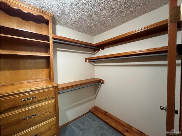 252 Rebecca Dr, Alamo, TX 78516 - spacious closet featuring carpet floors