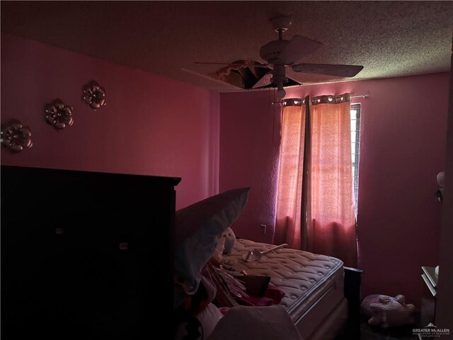 7221 S San Joaquin St, Pharr, TX 78577 - bedroom with a textured ceiling and ceiling fan