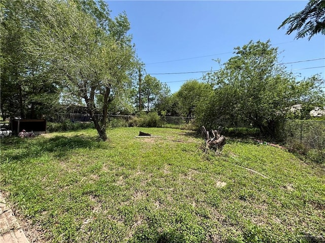 7221 S San Joaquin St, Pharr, TX 78577 - view of yard featuring fence private yard