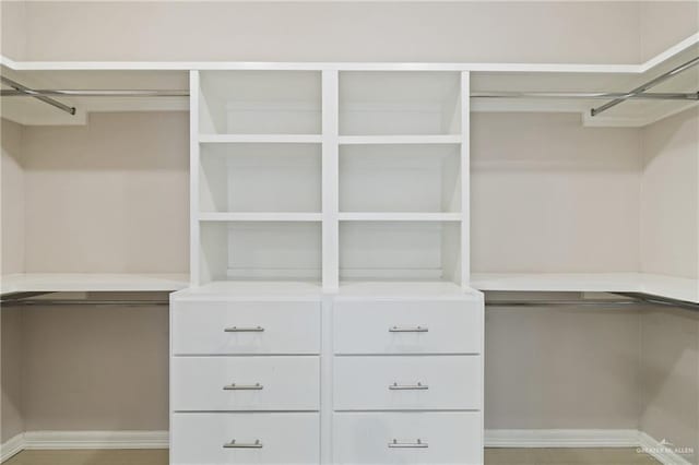 5013 Nevis Dr, Edinburg, TX 78539 - view of spacious closet