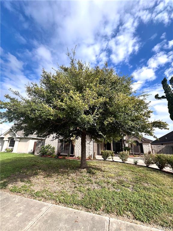 view of property hidden behind natural elements featuring a front yard