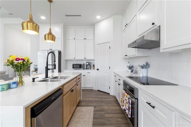 7423 Converse Lk, Brownsville, TX 78520 - kitchen featuring appliances with stainless steel finishes, under cabinet range hood, a sink, recessed lighting, and white cabinetry