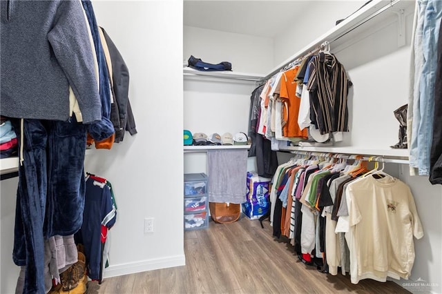 7423 Converse Lk, Brownsville, TX 78520 - spacious closet featuring wood finished floors
