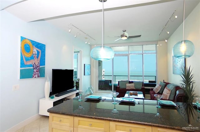 living area with a ceiling fan, rail lighting, floor to ceiling windows, and baseboards