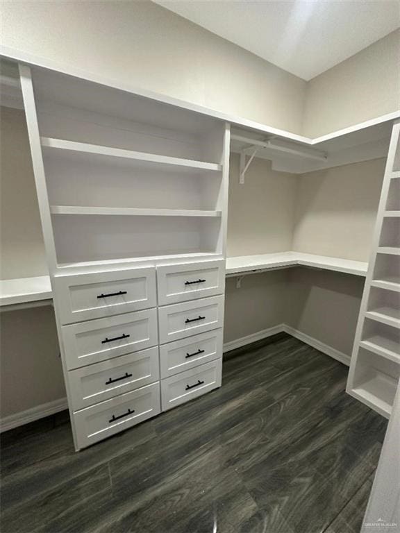 spacious closet featuring dark hardwood / wood-style flooring