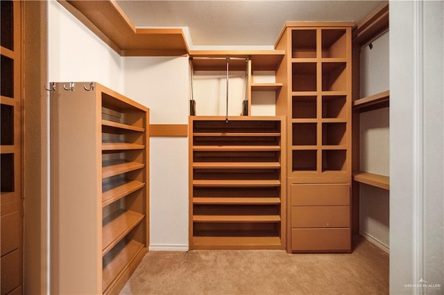 walk in closet featuring carpet
