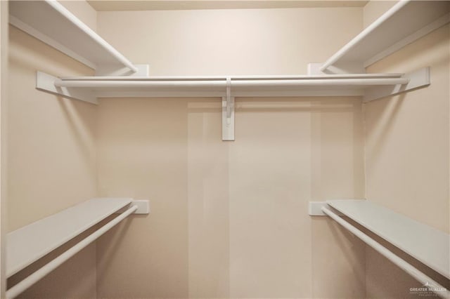 view of walk in closet