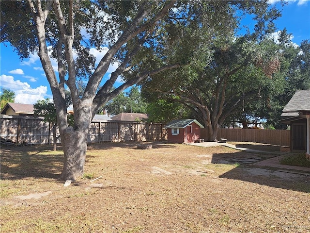 view of yard featuring a storage unit