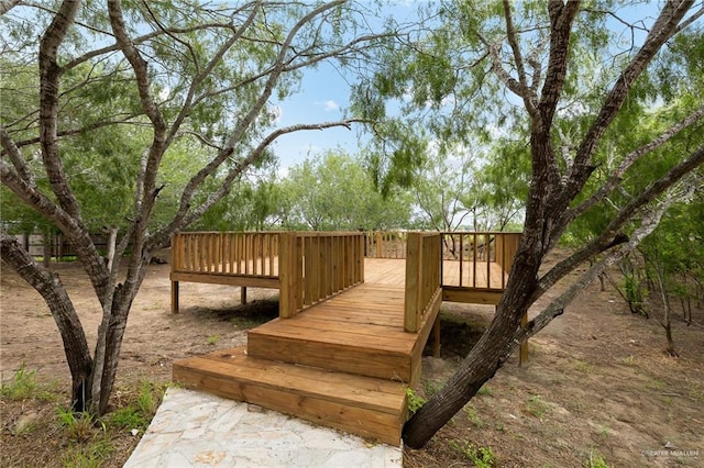 12304 Lakeview Dr, Edinburg, TX 78541 - photo 40