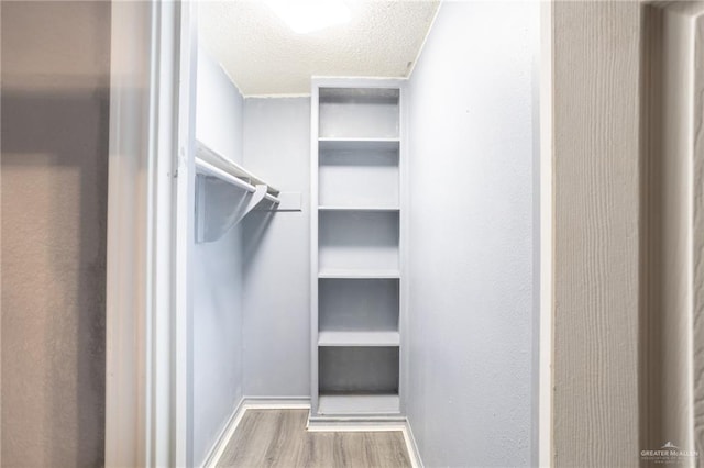 walk in closet with wood-type flooring